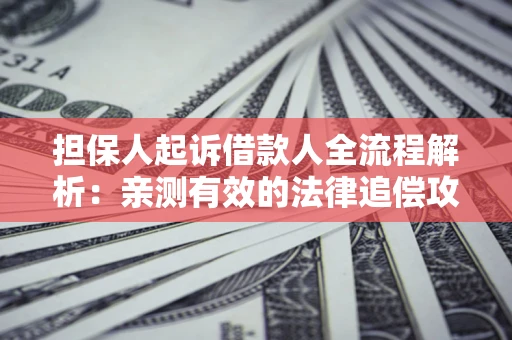 济南担保人起诉借款人全流程解析：亲测有效的法律追偿攻略
